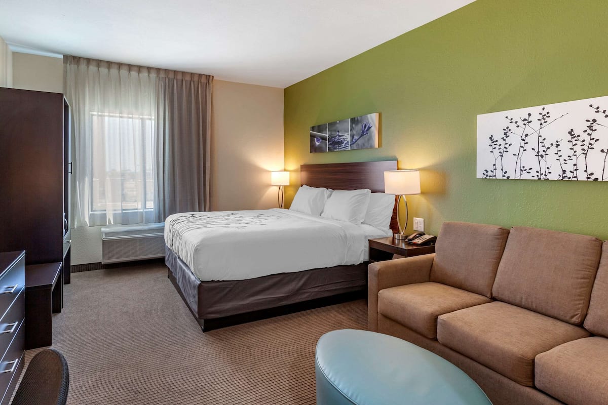 Suite, 1 Katil Raja (King) dengan Katil Sofa, Non Smoking (Efficiency) | Peti besi dalam bilik, meja, Wi-fi, cadar katil