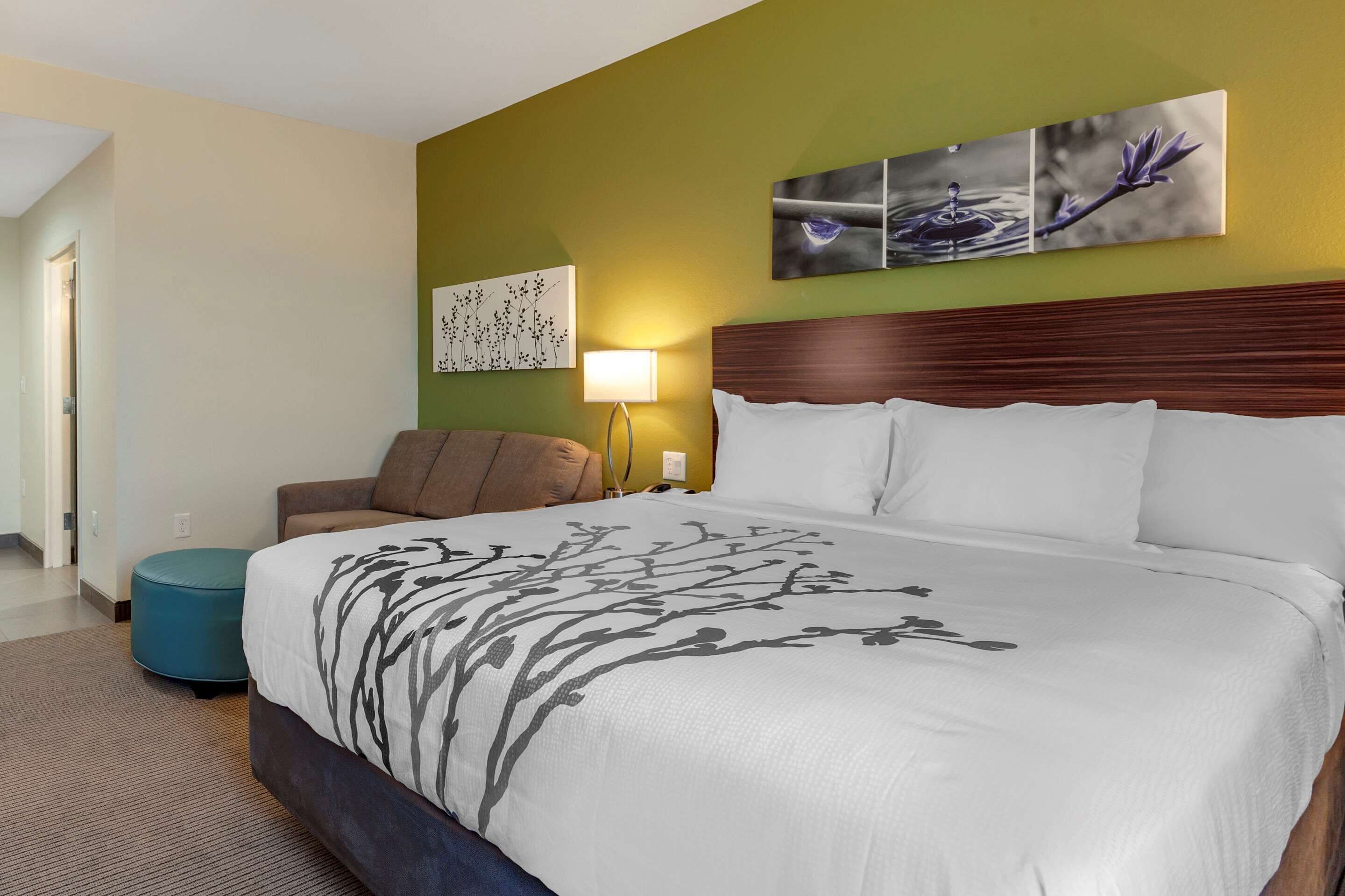 suite, 1 king bed with sofa bed, non smoking | in-room safe, desk, wifi, bed sheets