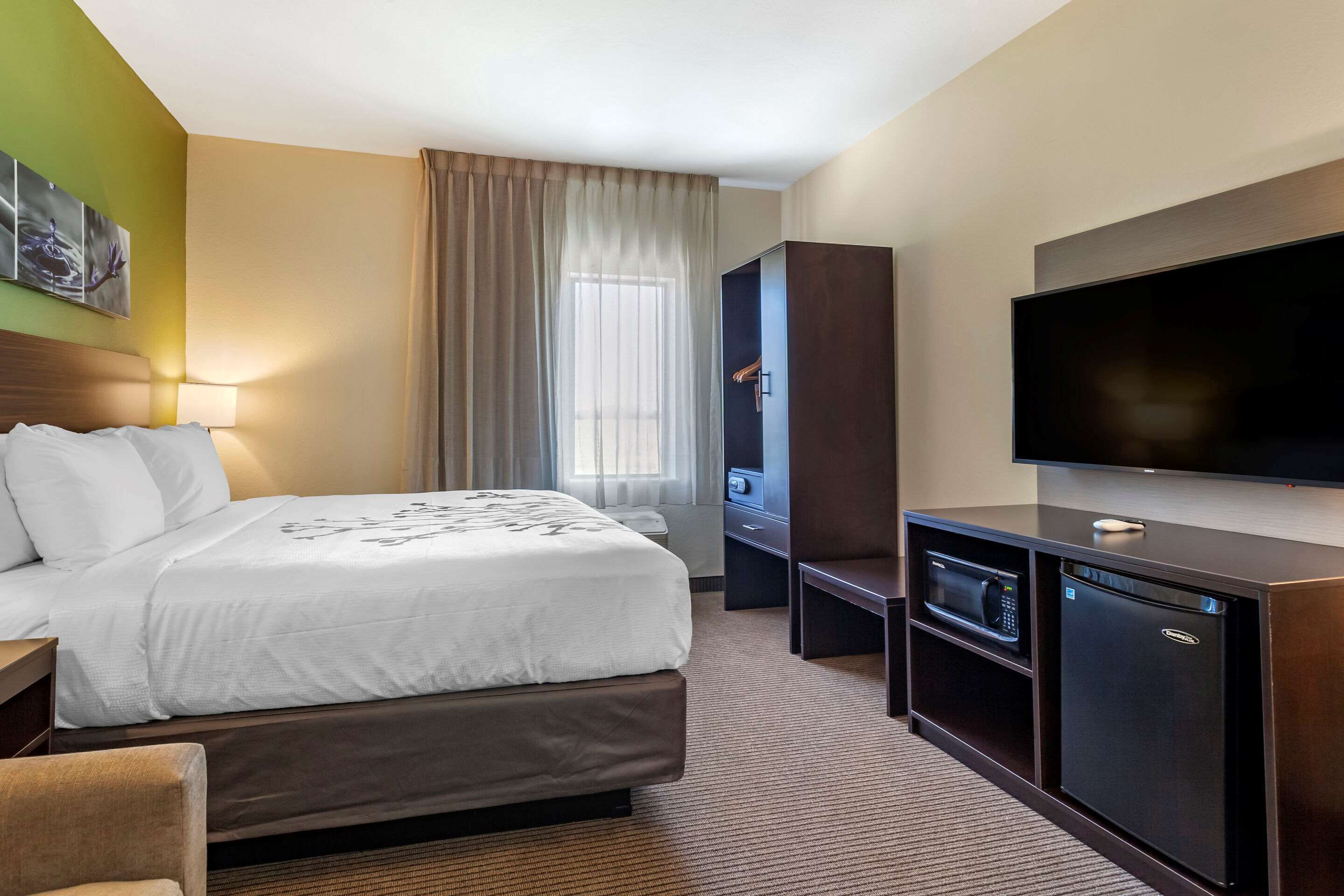 suite, 1 king bed with sofa bed, non smoking | in-room safe, desk, wifi, bed sheets