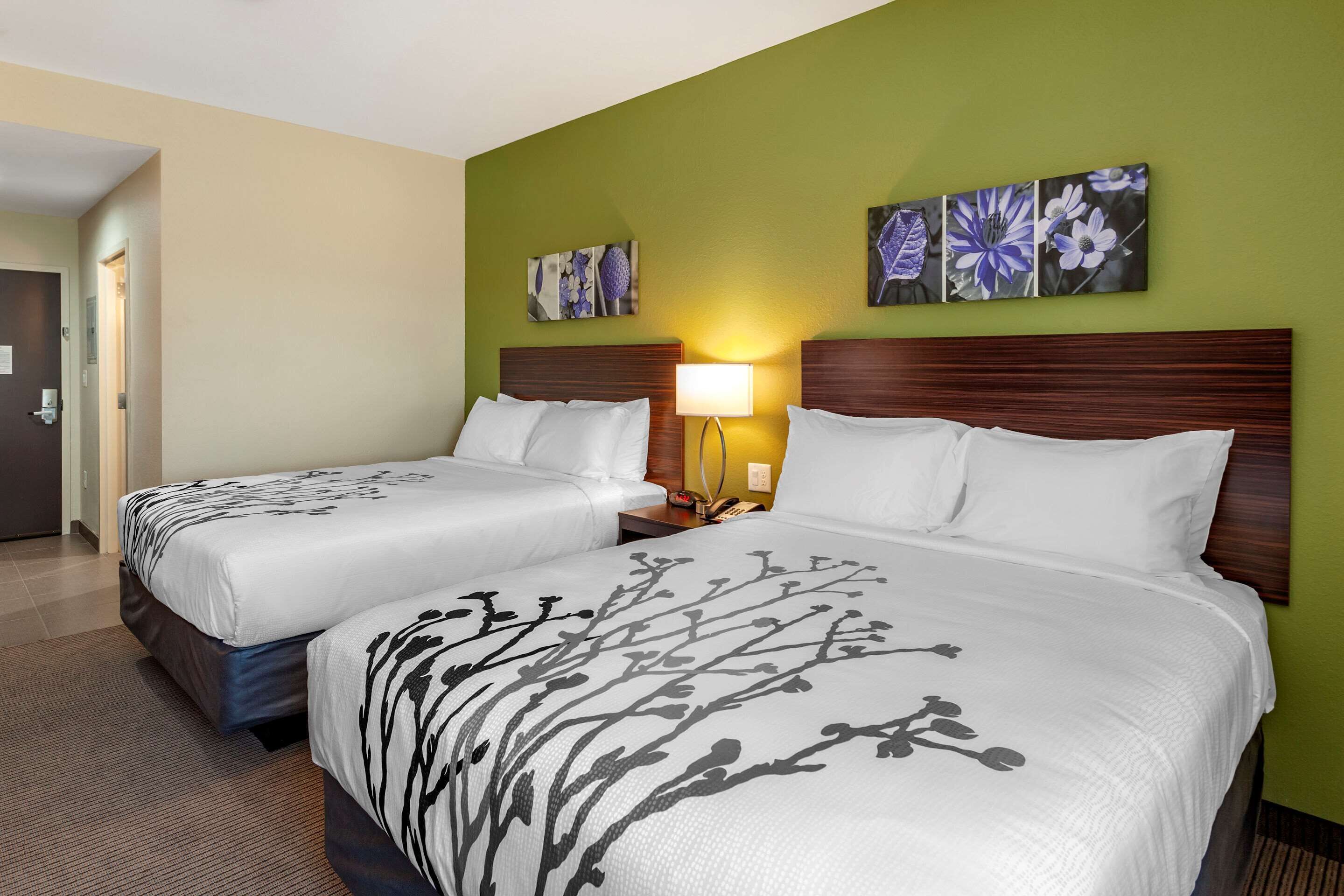 suite, 2 queen beds, non smoking (efficiency) | in-room safe, desk, wifi, bed sheets
