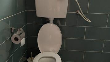 Een badkamer met een toilet, toiletrolhouder, prullenbak en een raam.