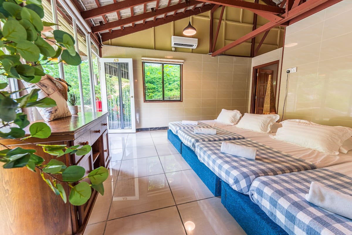 A room with a checkered bedspread, a wooden desk, and a view of greenery outside.
