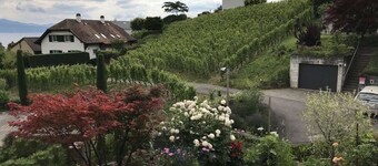 Lutry, la maison du lac