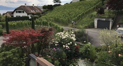 Lutry, la maison du lac