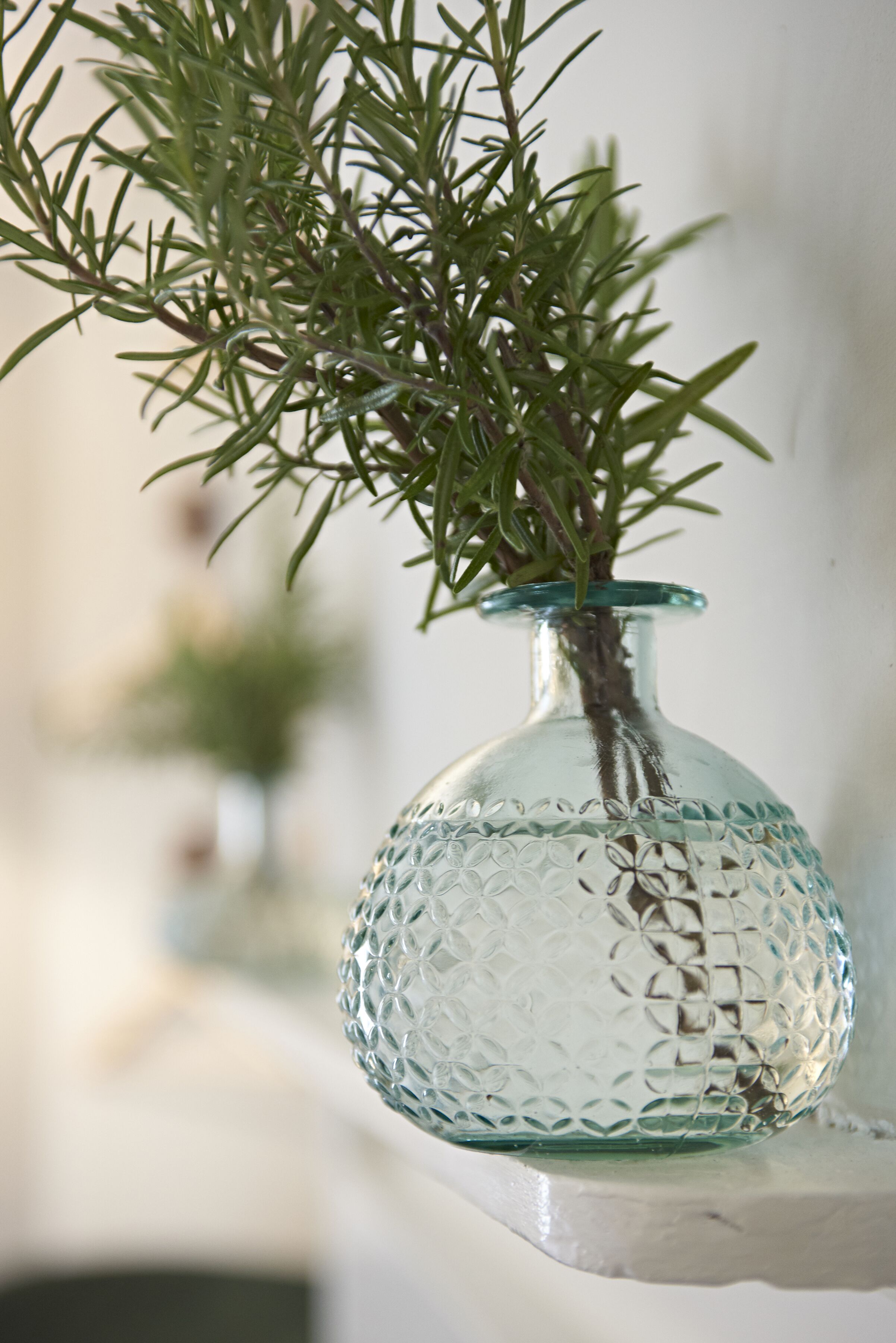 A clear glass vase with a textured pattern, containing green foliage, placed on a white surface.