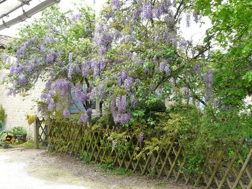 Gites123soleil- La Glycine - Charente-Maritime avec piscine