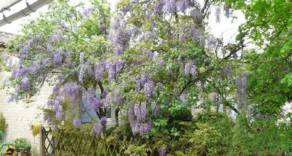 Gites123soleil- La Glycine - Charente-Maritime avec piscine