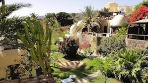 Un jardin agrémenté de cactus, de palmiers et d’une structure en forme de dôme blanc.