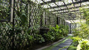A garden with a lattice structure, various plants, and a pathway. - George Residence (Lekki)