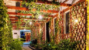 A narrow pathway flanked by lush greenery and wooden lattice structures, leading to a building entrance. - George Residence (Lekki)