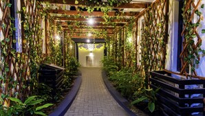 A narrow brick pathway flanked by wooden trellises covered in green vines, leading to a well-lit interior space. - George Residence (Lekki)