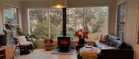 Smart TV, fireplace, DVD player, stereo