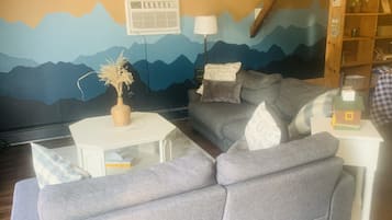 Smart TV, fireplace, books