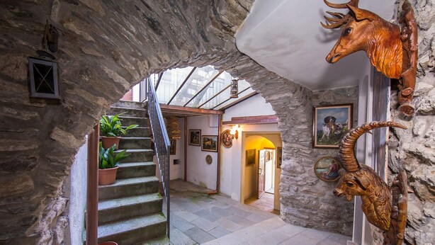 A stone-walled hallway with a staircase leading to another room, a mounted deer head, and a potted plant. - Terrazza Vista Menaggio (Plesio)