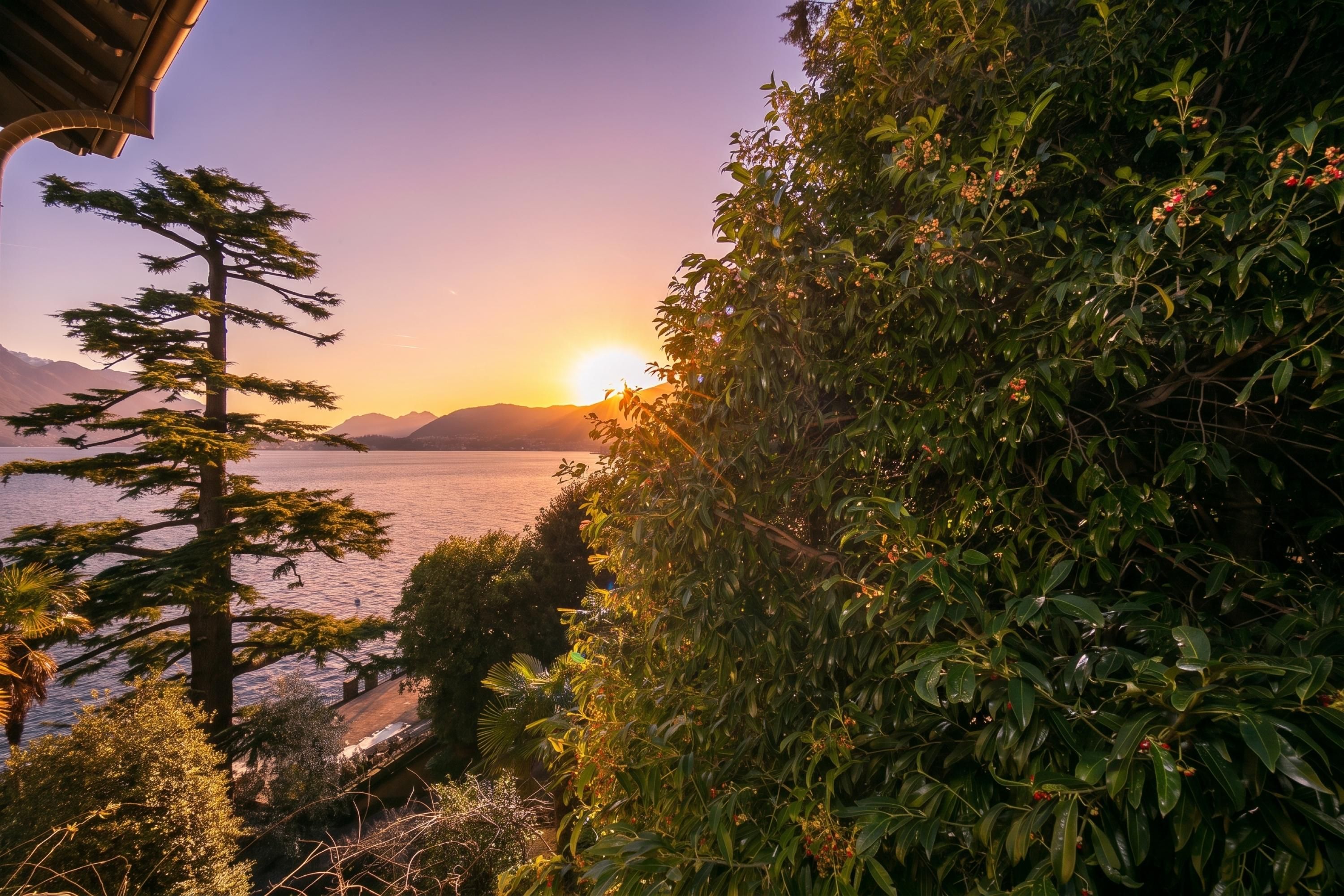 A coastal landscape with a sunset, mountains in the distance, and dense foliage.