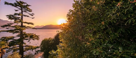 A coastal landscape with a sunset, mountains in the distance, and dense foliage.
