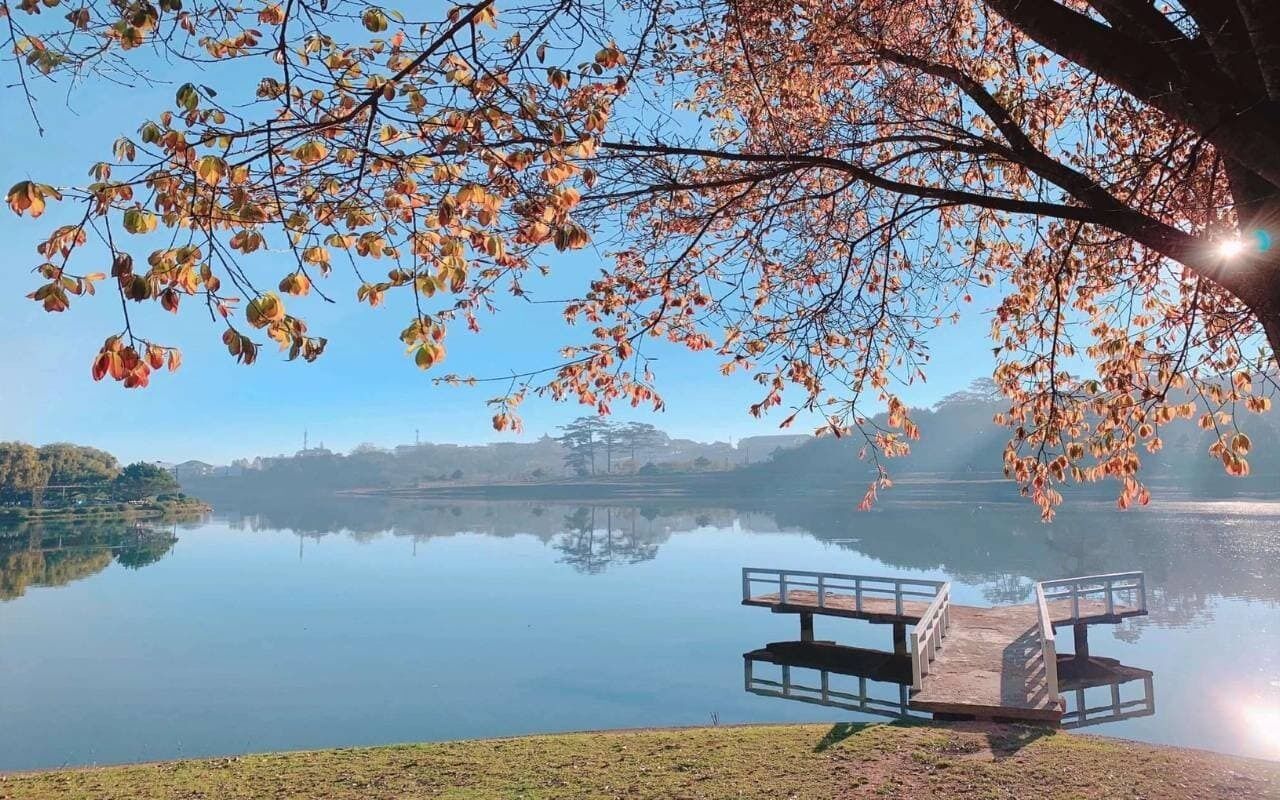 Un lac paisible, avec un quai et un arbre aux feuilles d’automne.