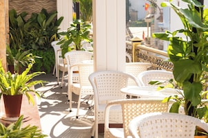 Eine Terrasse mit weißen Korbstühlen und Topfpflanzen.