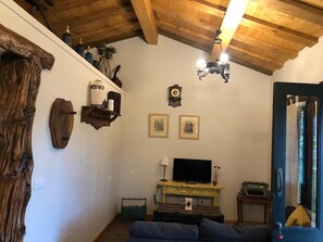 Fernseher