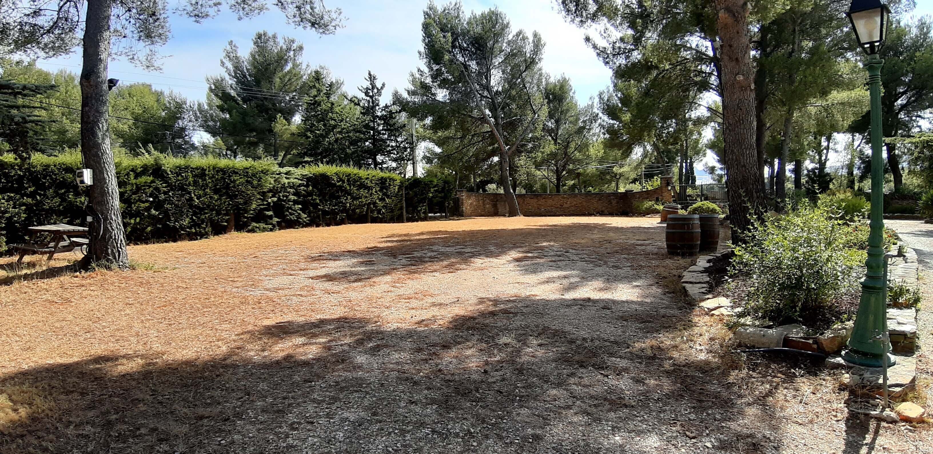 A gravel path with trees and a bench.