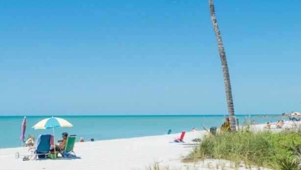 Une plage avec un palmier, un ciel bleu azur et quelques personnes se détendant sur le sable.