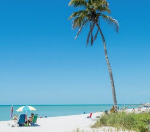 Een strand met een palmboom, een helderblauwe lucht en enkele mensen die ontspannen op het zand.