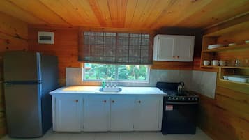 Fridge, oven, stovetop, electric kettle
