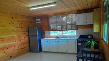 Fridge, oven, stovetop, electric kettle