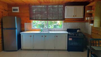 Fridge, oven, stovetop, electric kettle
