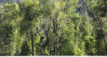 A wonderful 2 bedroom/2 bath rental (1,000 sq