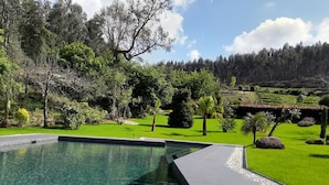 A modern swimming pool with a stone edge, surrounded by well-manicured grass and trees.