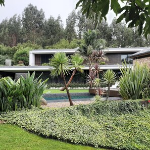 Una casa moderna con piscina, rodeada de vegetación exuberante y palmeras.