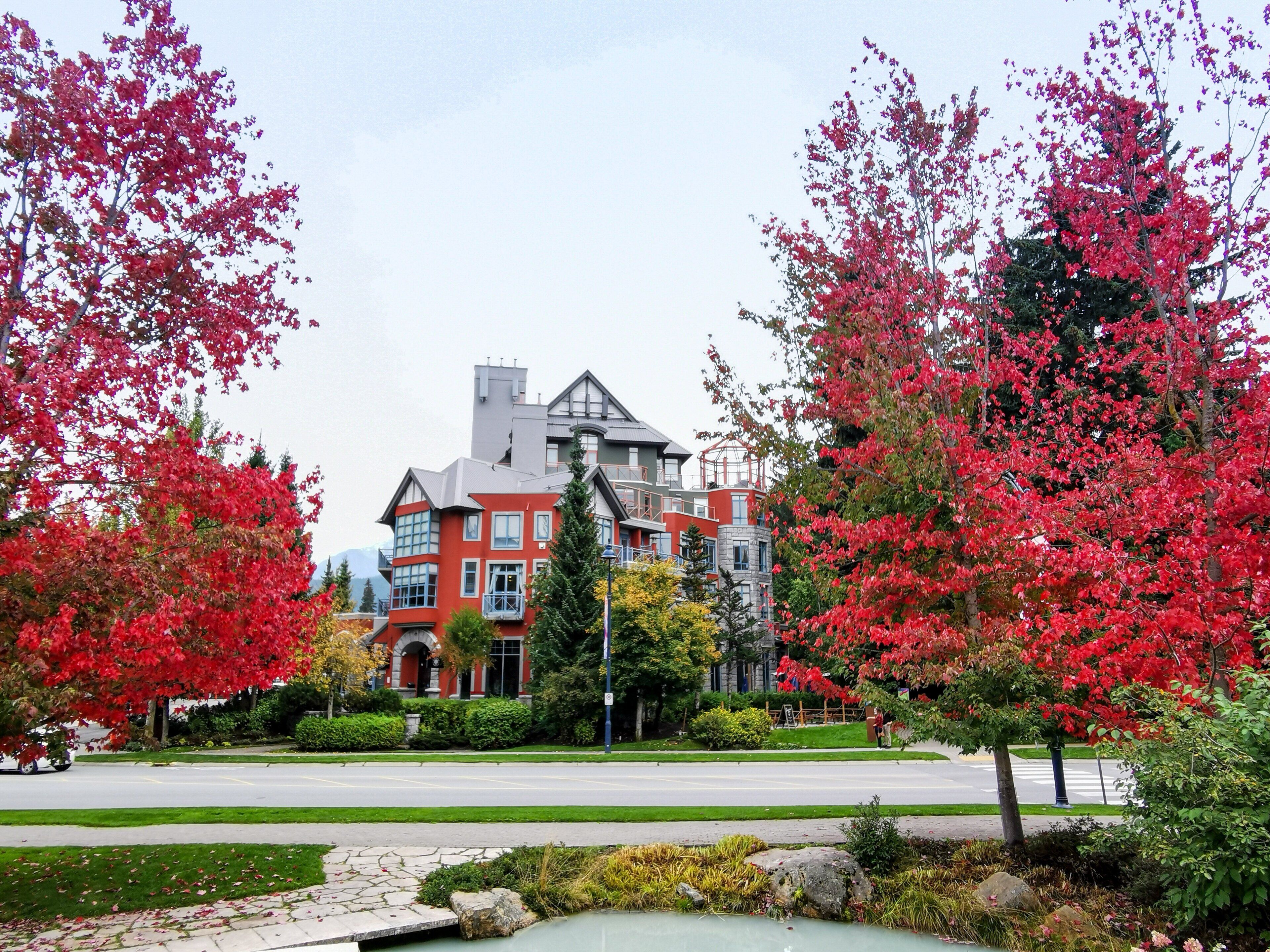 A large red building with a modern architectural style, surrounded by a well-maintained garden with red-leaved trees.