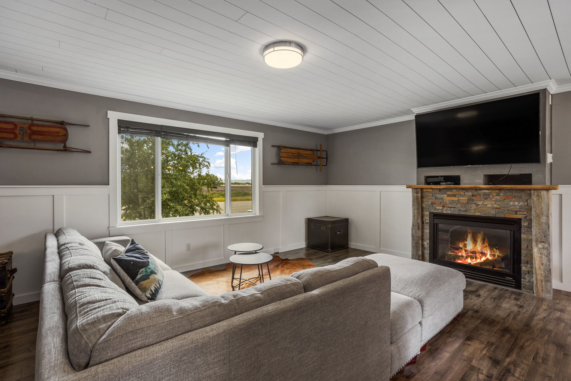 智能電視、壁爐、書籍