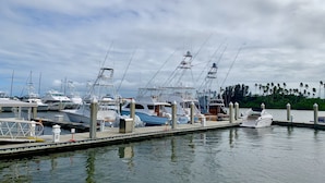 A marina with several yachts docked at the pier.