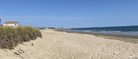 Nära stranden