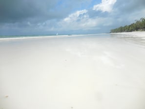 On the beach - Ocean Front Beach Chalet with sandy beach, Room with seaview (Kwale County)