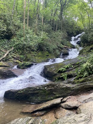 Property grounds - Peaceful Creekside Retreat at the foot of Mt. Mitchell!  (Burnsville)