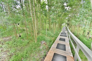 A wooden boardwalk through a forest with metal grates for safety. - Pool, Hot Tubs, Clubhouse, Playground! Near Trails. Easy Drive to Town (Silverthorne)
