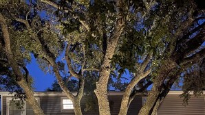 A tree with a frog sculpture in front of a building at night. - Lower Level, Apartment Style Beach House! (Surfside Beach)