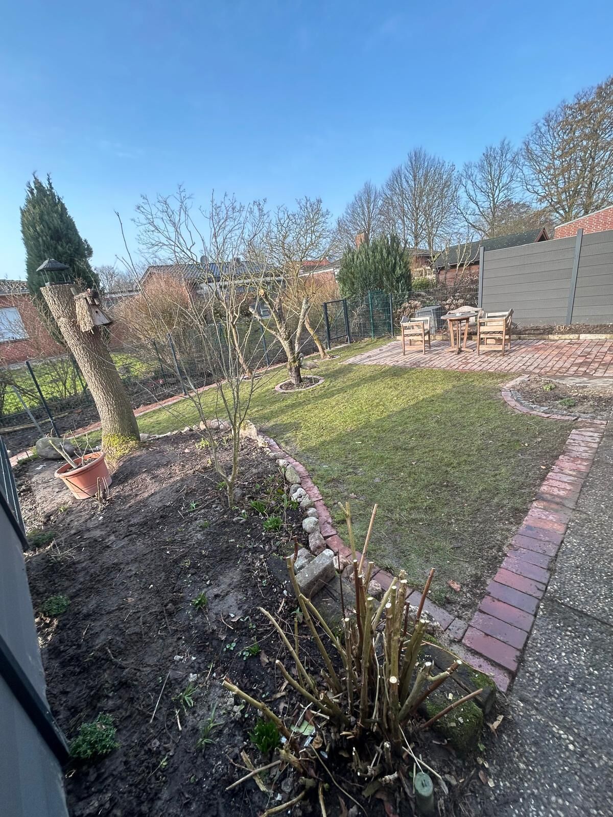 Ein Garten mit Terrassenplatten, einer kleinen Rasenfläche und einem Baum.