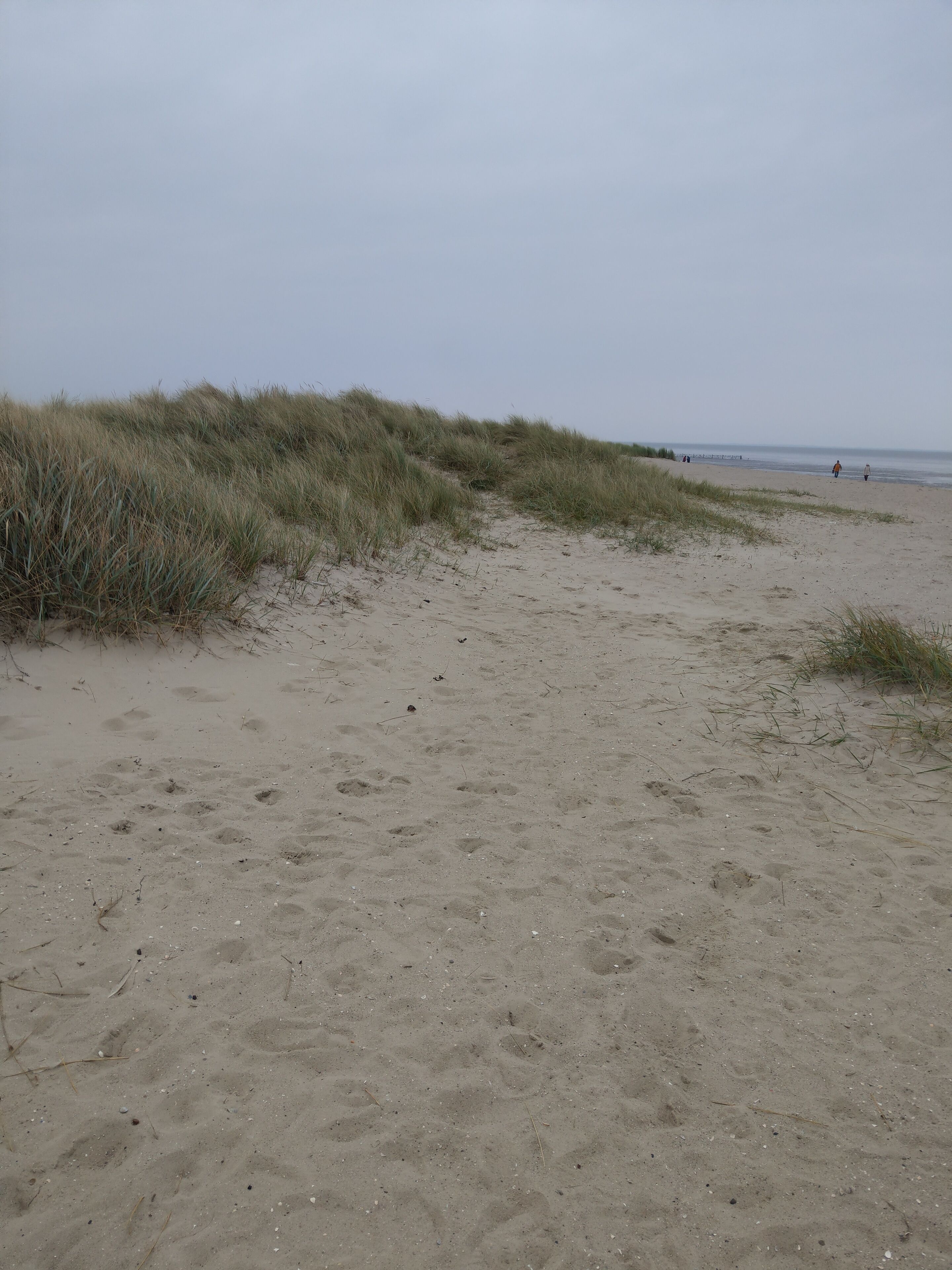 In Strandnähe, Liegestühle