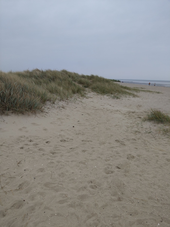 Ein Sandstrand mit Dünen und freiem Blick auf das Meer.