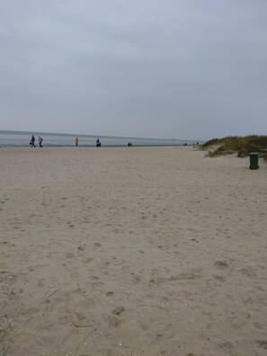 Playa en los alrededores y camastros 