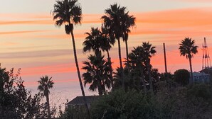 Ein Sonnenuntergang mit palmenartigen Silhouetten am Himmel.
