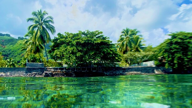 On peut clairement voir un complexe hôtelier tropical avec une piscine, des palmiers et une végétation luxuriante.