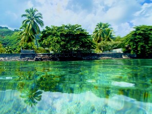 Een helder uitzicht op een tropisch resort met een zwembad, palmbomen en weelderige begroeiing.