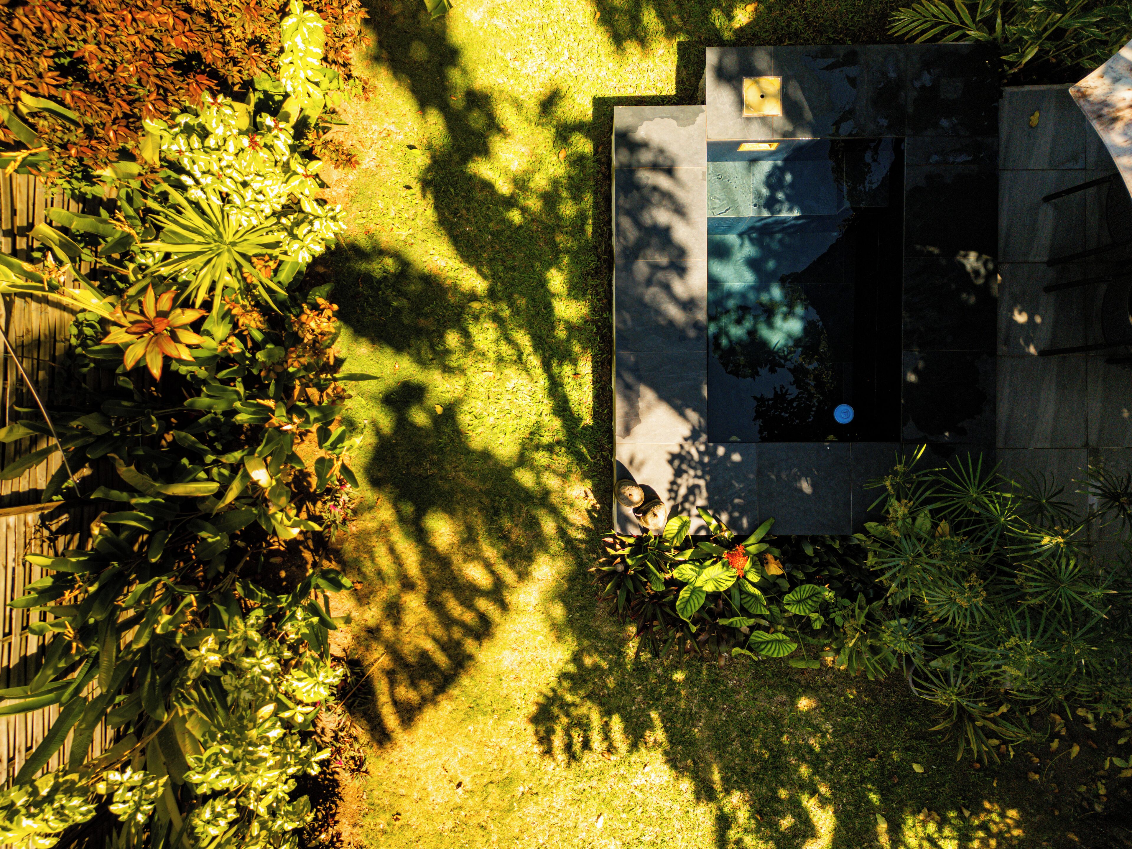 Vue aérienne d’un jardin avec une piscine, entouré de différentes plantes et d’une clôture en bois.