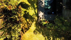 Vue aérienne d’un jardin avec une piscine, entouré de différentes plantes et d’une clôture en bois.