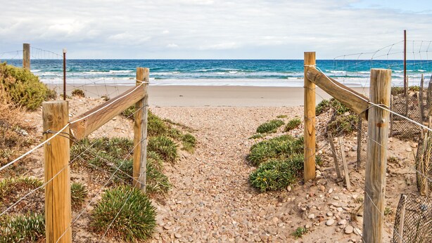 Un sentier en bois mène à une plage au rivage sablonneux, où l’on peut admirer les vagues de l’océan.